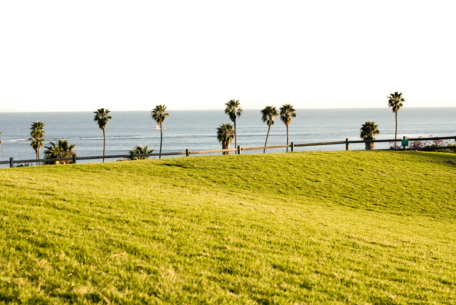 The Great Meadow towards ocean